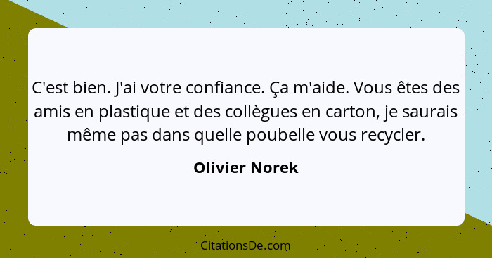 C'est bien. J'ai votre confiance. Ça m'aide. Vous êtes des amis en plastique et des collègues en carton, je saurais même pas dans quel... - Olivier Norek