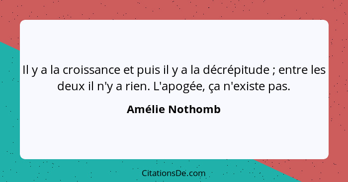 Il y a la croissance et puis il y a la décrépitude ; entre les deux il n'y a rien. L'apogée, ça n'existe pas.... - Amélie Nothomb