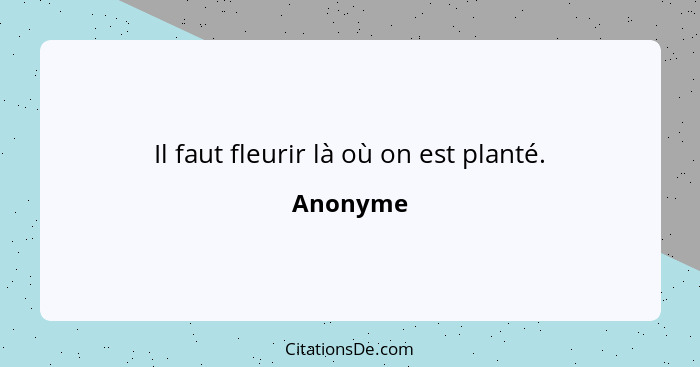 Il faut fleurir là où on est planté.... - Anonyme