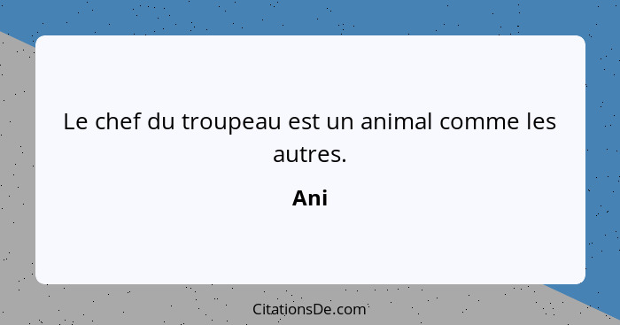 Le chef du troupeau est un animal comme les autres.... - Ani