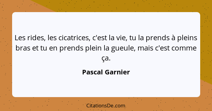 Les rides, les cicatrices, c'est la vie, tu la prends à pleins bras et tu en prends plein la gueule, mais c'est comme ça.... - Pascal Garnier