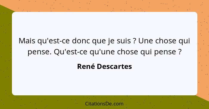 Mais qu'est-ce donc que je suis ? Une chose qui pense. Qu'est-ce qu'une chose qui pense ?... - René Descartes