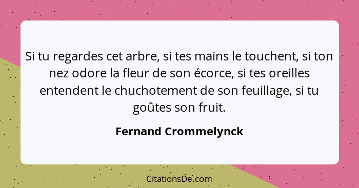 Si tu regardes cet arbre, si tes mains le touchent, si ton nez odore la fleur de son écorce, si tes oreilles entendent le chucho... - Fernand Crommelynck