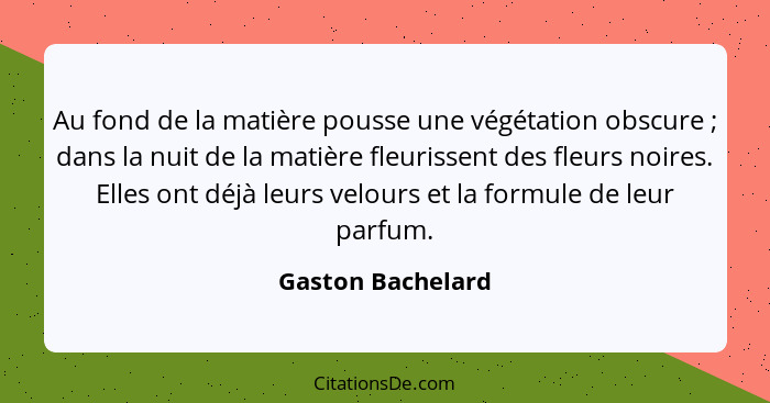 Au fond de la matière pousse une végétation obscure ; dans la nuit de la matière fleurissent des fleurs noires. Elles ont déjà... - Gaston Bachelard