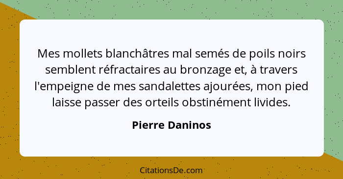 Mes mollets blanchâtres mal semés de poils noirs semblent réfractaires au bronzage et, à travers l'empeigne de mes sandalettes ajouré... - Pierre Daninos