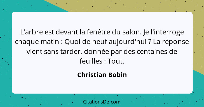 L'arbre est devant la fenêtre du salon. Je l'interroge chaque matin : Quoi de neuf aujourd'hui ? La réponse vient sans tar... - Christian Bobin