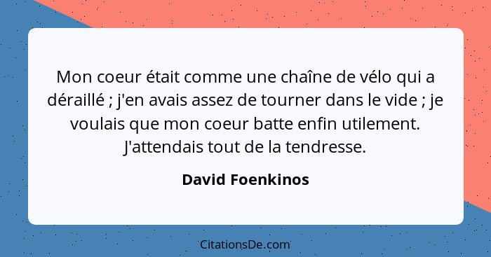 Mon coeur était comme une chaîne de vélo qui a déraillé ; j'en avais assez de tourner dans le vide ; je voulais que mon co... - David Foenkinos