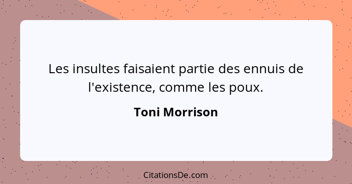 Les insultes faisaient partie des ennuis de l'existence, comme les poux.... - Toni Morrison