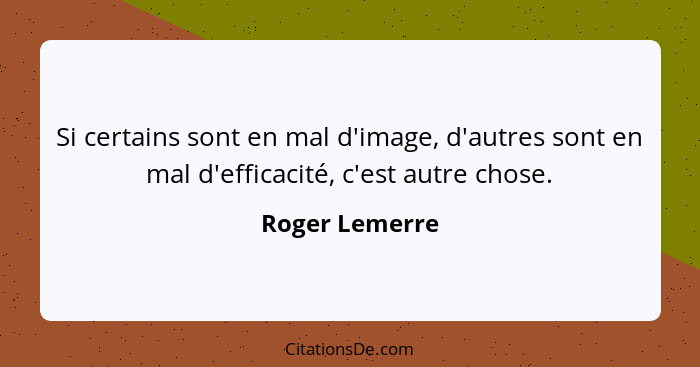 Si certains sont en mal d'image, d'autres sont en mal d'efficacité, c'est autre chose.... - Roger Lemerre