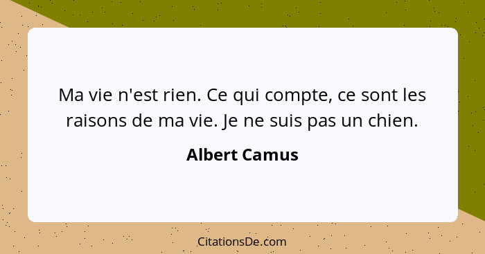 Ma vie n'est rien. Ce qui compte, ce sont les raisons de ma vie. Je ne suis pas un chien.... - Albert Camus