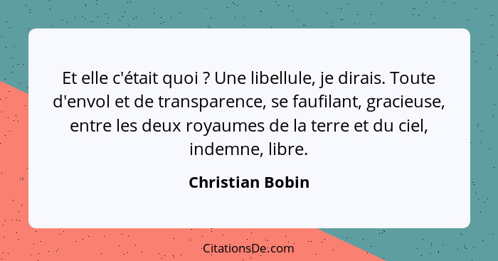 Et elle c'était quoi ? Une libellule, je dirais. Toute d'envol et de transparence, se faufilant, gracieuse, entre les deux roya... - Christian Bobin