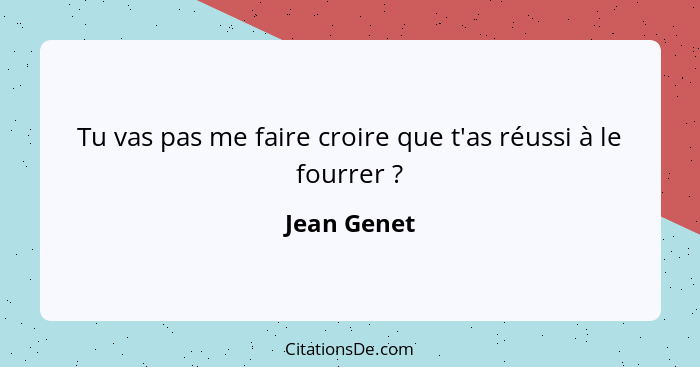 Tu vas pas me faire croire que t'as réussi à le fourrer ?... - Jean Genet