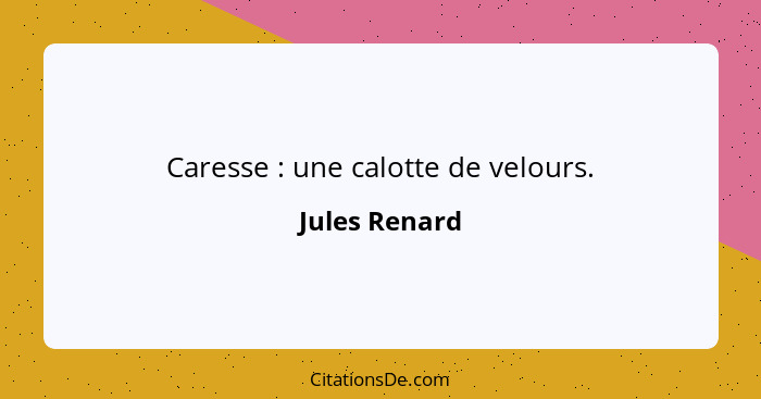 Caresse : une calotte de velours.... - Jules Renard