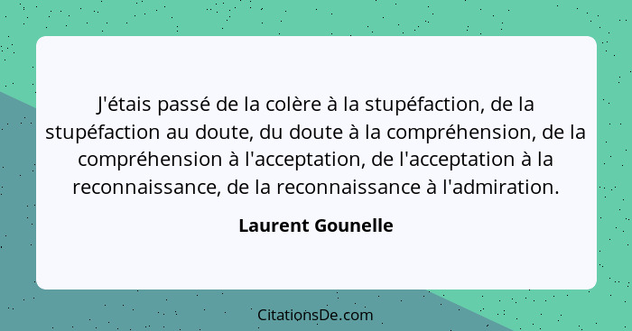 J'étais passé de la colère à la stupéfaction, de la stupéfaction au doute, du doute à la compréhension, de la compréhension à l'acc... - Laurent Gounelle