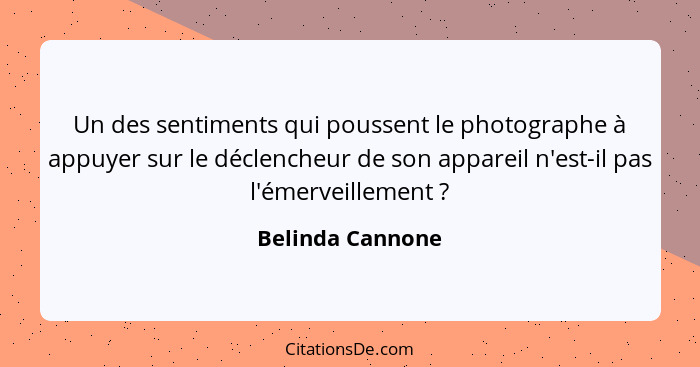 Un des sentiments qui poussent le photographe à appuyer sur le déclencheur de son appareil n'est-il pas l'émerveillement ?... - Belinda Cannone