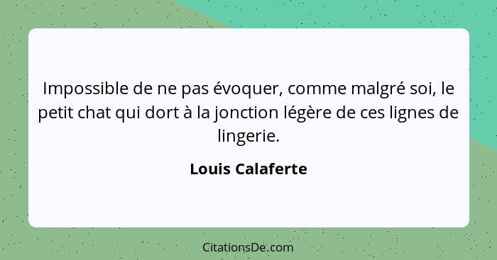 Impossible de ne pas évoquer, comme malgré soi, le petit chat qui dort à la jonction légère de ces lignes de lingerie.... - Louis Calaferte