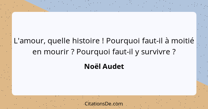 L'amour, quelle histoire ! Pourquoi faut-il à moitié en mourir ? Pourquoi faut-il y survivre ?... - Noël Audet