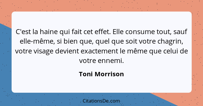 C'est la haine qui fait cet effet. Elle consume tout, sauf elle-même, si bien que, quel que soit votre chagrin, votre visage devient e... - Toni Morrison