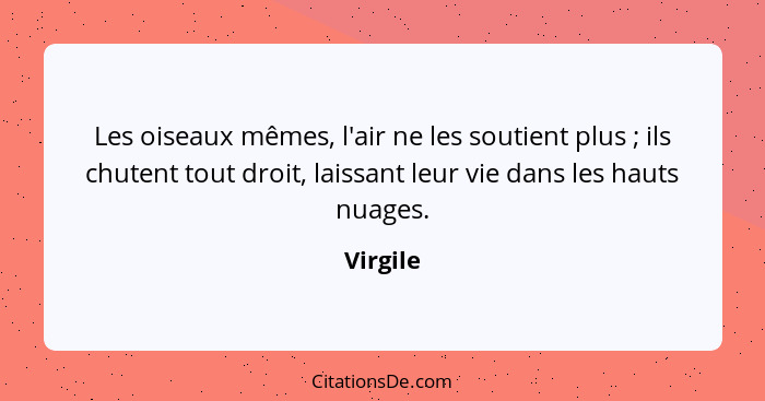 Les oiseaux mêmes, l'air ne les soutient plus ; ils chutent tout droit, laissant leur vie dans les hauts nuages.... - Virgile