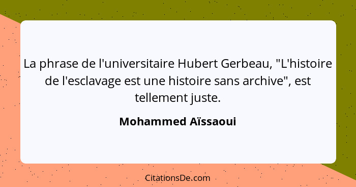 La phrase de l'universitaire Hubert Gerbeau, "L'histoire de l'esclavage est une histoire sans archive", est tellement juste.... - Mohammed Aïssaoui
