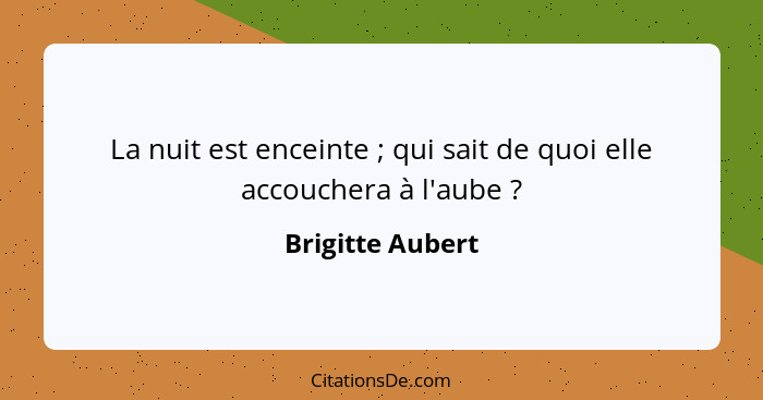 La nuit est enceinte ; qui sait de quoi elle accouchera à l'aube ?... - Brigitte Aubert