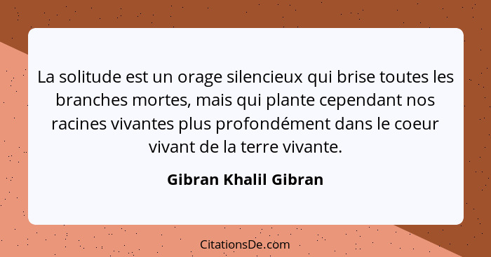 Gibran Khalil Gibran La Solitude Est Un Orage Silencieux Q