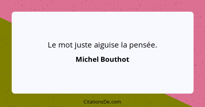 Le mot juste aiguise la pensée.... - Michel Bouthot