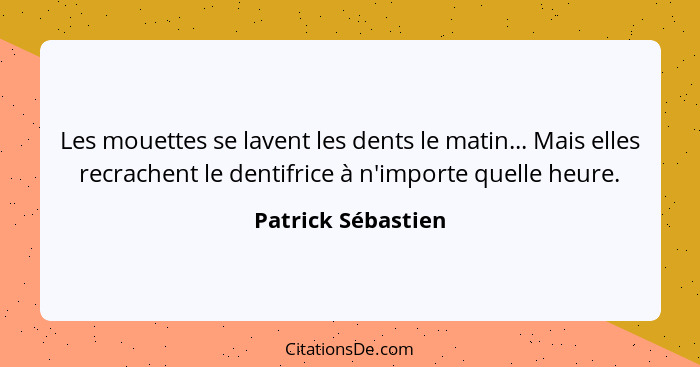 Les mouettes se lavent les dents le matin... Mais elles recrachent le dentifrice à n'importe quelle heure.... - Patrick Sébastien