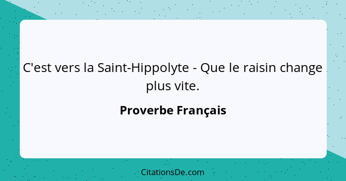 C'est vers la Saint-Hippolyte - Que le raisin change plus vite.... - Proverbe Français