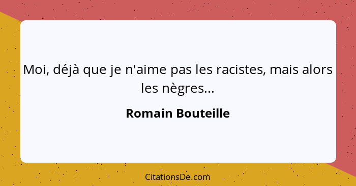 Moi, déjà que je n'aime pas les racistes, mais alors les nègres...... - Romain Bouteille