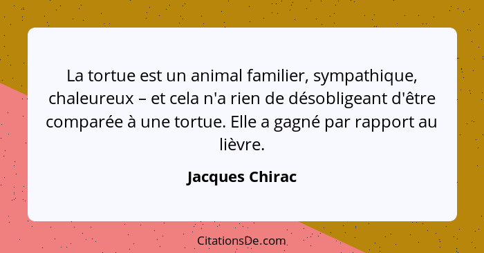 La tortue est un animal familier, sympathique, chaleureux – et cela n'a rien de désobligeant d'être comparée à une tortue. Elle a gag... - Jacques Chirac