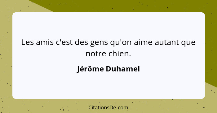 Les amis c'est des gens qu'on aime autant que notre chien.... - Jérôme Duhamel