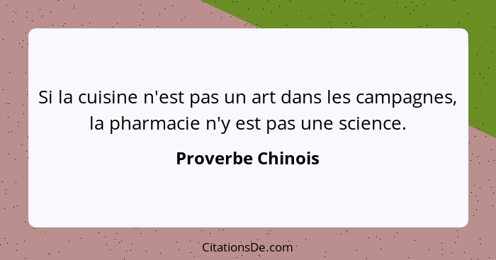 Si la cuisine n'est pas un art dans les campagnes, la pharmacie n'y est pas une science.... - Proverbe Chinois