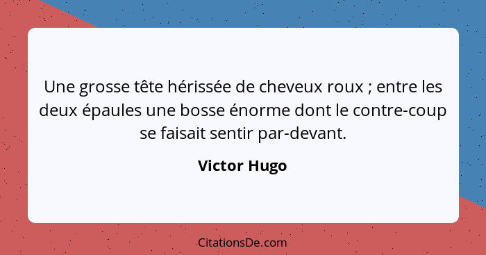 Une grosse tête hérissée de cheveux roux ; entre les deux épaules une bosse énorme dont le contre-coup se faisait sentir par-devant... - Victor Hugo