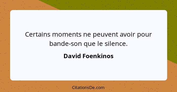 Certains moments ne peuvent avoir pour bande-son que le silence.... - David Foenkinos