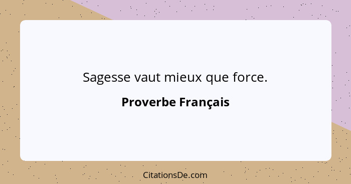 Sagesse vaut mieux que force.... - Proverbe Français