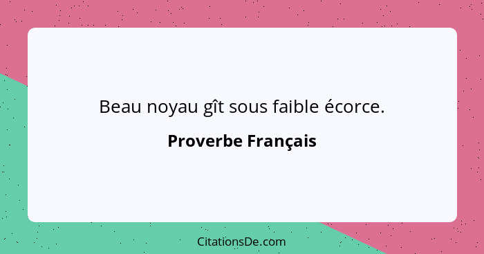 Beau noyau gît sous faible écorce.... - Proverbe Français