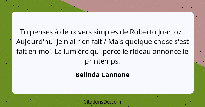 Tu penses à deux vers simples de Roberto Juarroz : Aujourd'hui je n'ai rien fait / Mais quelque chose s'est fait en moi. La lum... - Belinda Cannone