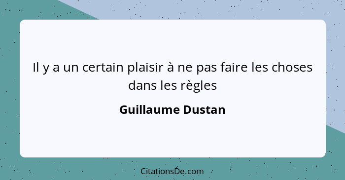 Il y a un certain plaisir à ne pas faire les choses dans les règles... - Guillaume Dustan