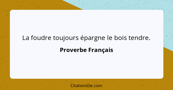 La foudre toujours épargne le bois tendre.... - Proverbe Français