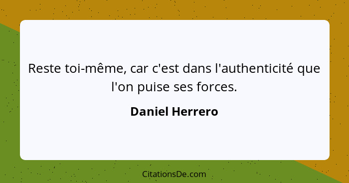 Reste toi-même, car c'est dans l'authenticité que l'on puise ses forces.... - Daniel Herrero