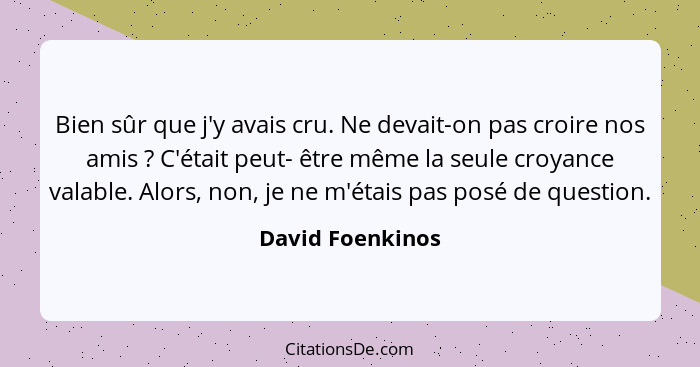 Bien sûr que j'y avais cru. Ne devait-on pas croire nos amis ? C'était peut- être même la seule croyance valable. Alors, non, j... - David Foenkinos