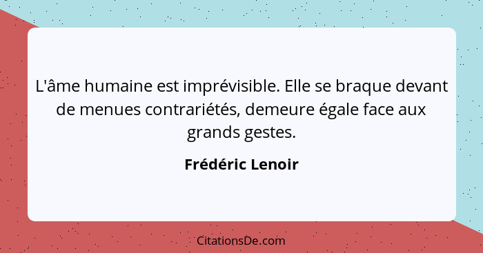 L'âme humaine est imprévisible. Elle se braque devant de menues contrariétés, demeure égale face aux grands gestes.... - Frédéric Lenoir