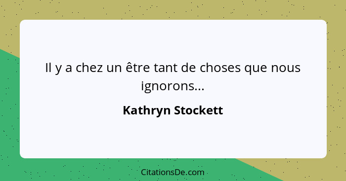 Il y a chez un être tant de choses que nous ignorons...... - Kathryn Stockett