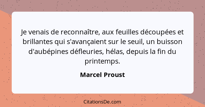 Je venais de reconnaître, aux feuilles découpées et brillantes qui s'avançaient sur le seuil, un buisson d'aubépines défleuries, hélas... - Marcel Proust