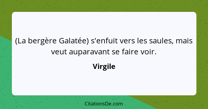 (La bergère Galatée) s'enfuit vers les saules, mais veut auparavant se faire voir.... - Virgile