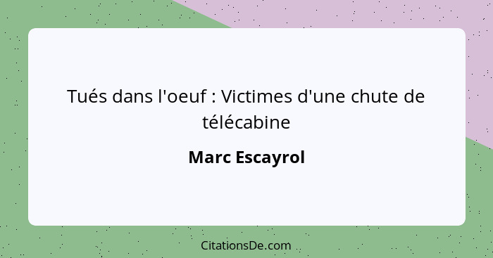 Tués dans l'oeuf : Victimes d'une chute de télécabine... - Marc Escayrol