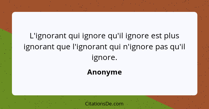 L'ignorant qui ignore qu'il ignore est plus ignorant que l'ignorant qui n'ignore pas qu'il ignore.... - Anonyme