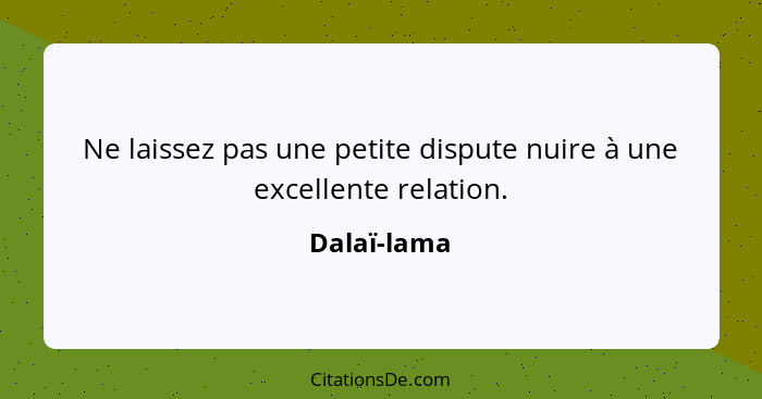 Ne laissez pas une petite dispute nuire à une excellente relation.... - Dalaï-lama