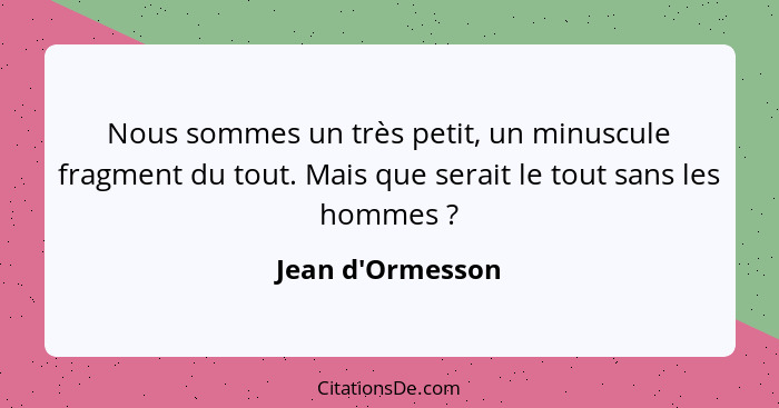 Nous sommes un très petit, un minuscule fragment du tout. Mais que serait le tout sans les hommes ?... - Jean d'Ormesson